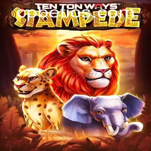 Discover the Thrills of 